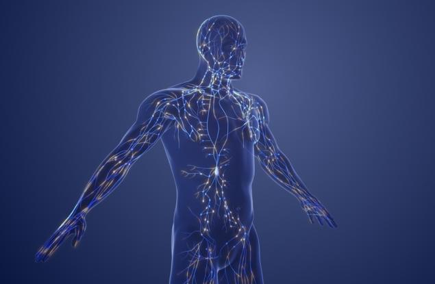 Създадоха полимер, подходящ за печат на изкуствени органи