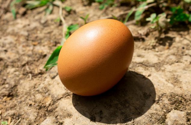 Откриха течност в яйце от римско време