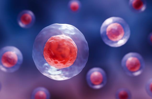 Учени откриха как да обърнат стареенето на кръвните стволови клетки