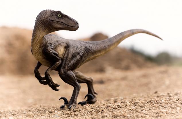 Не живеем до 200-годишна възраст вероятно заради динозаврите