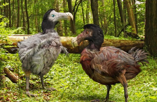 7 изчезнали животински вида, които учените искат да възкресят