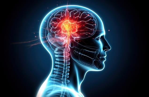 Oткриха невронни механизми, които мозъкът използва при планиране 