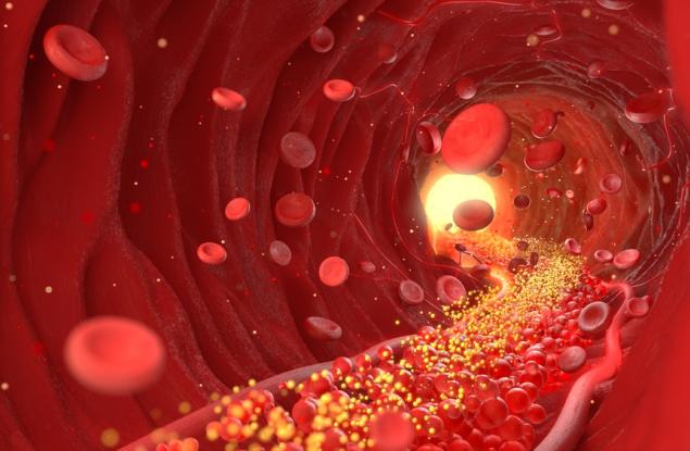 Разкриха молекулярната "поща" на човешкото тяло