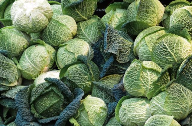 Откриха ген, свързан със заболяване при кръстоцветните растения 