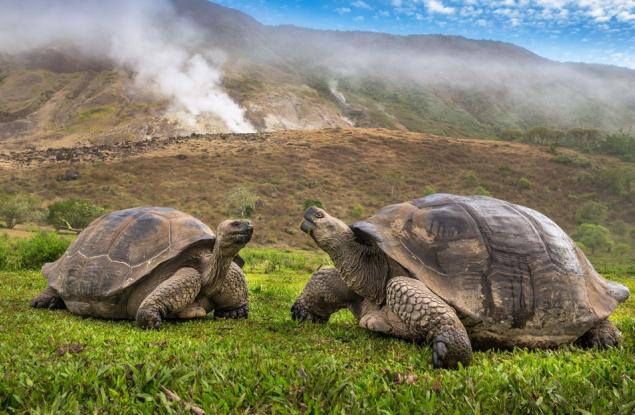 Галапагоските острови са застрашени, установи експедиция по стъпките на Чарлз Дарвин от 1835 г.