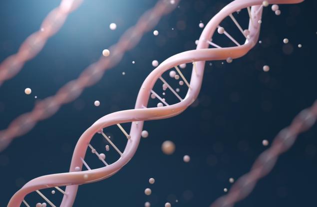 ДНК се държи по различен начин, когато е заобиколена от плътна маса молекули