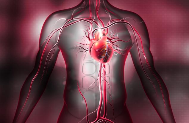 Аномалия на митралната клапа увеличава значително риска от опасни аритмии