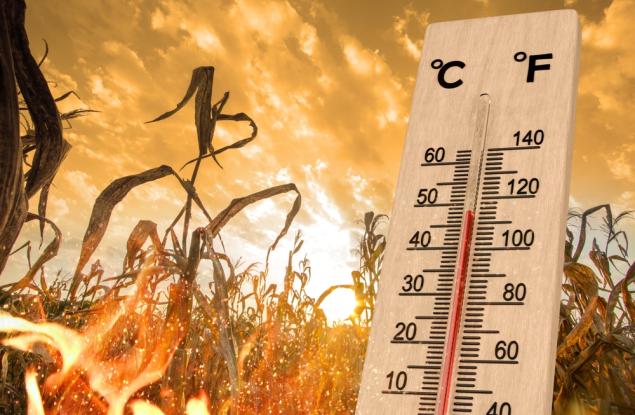 Лятото на 2024 г. – над 62 700 смъртни случая в Европа заради жегите
