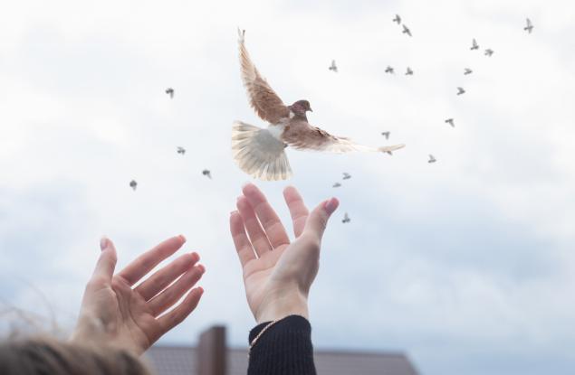 Прощавам и (не) забравям