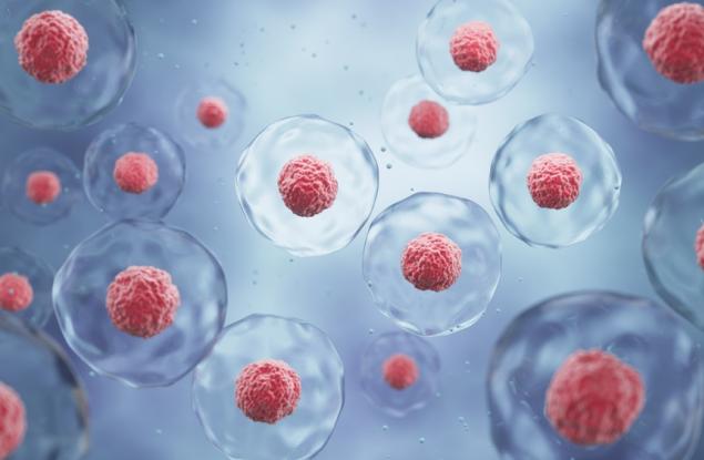 Учени направиха пробив в разбирането за това как клетките се специализират 