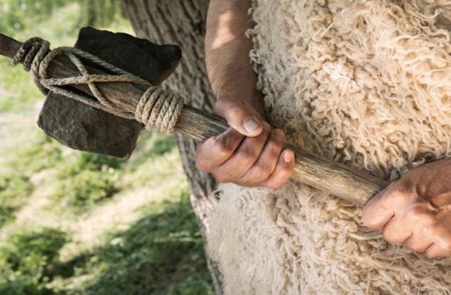 Дървени инструменти, намерени в Китай, показват находчивостта на праисторическите хора 