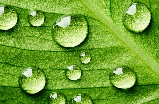 Откриха нов тип химична връзка. И тя е изненадващо силна