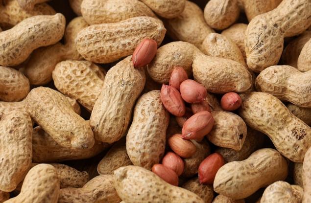 Десет години по-късно: ранното захранване с фъстъци доказано предпазва хиляди деца от алергии