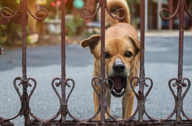 Виц: Гостите разбраха, че е време да си ходят