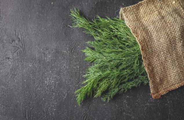 Виц: Разликата между копър и анасон