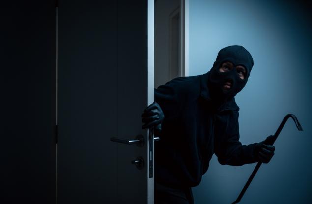 Виц: Разликата между глупака и крадеца