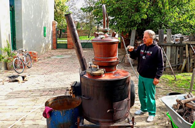Виц: Нашенски ускорител на елементарни частици