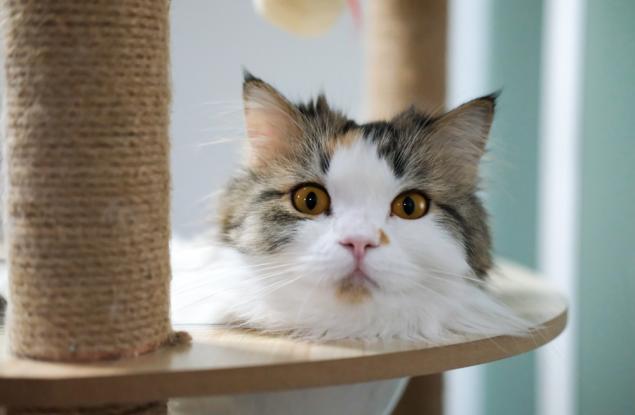 7 скрити признака, че не може да имате доверие на тези хора