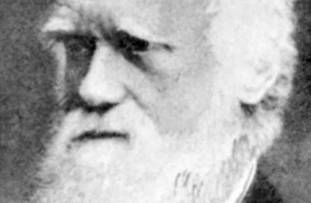 Създадоха огромно ДНК дърво на живота на покритосеменните растения