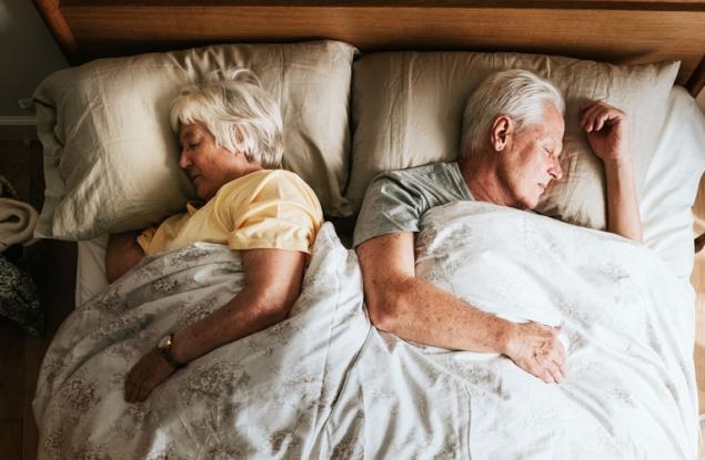 Учени: Хората, птиците и влечугите спят в един и същ ритъм от над 300 милиона години