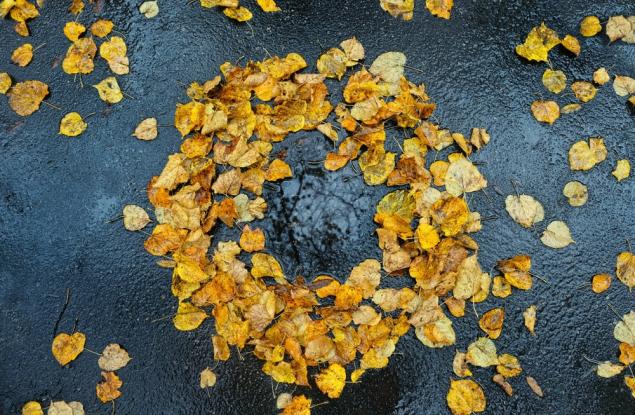 Ноември под лупа: за слабия COP30, тревожните научни сигнали и единствения глобален успех