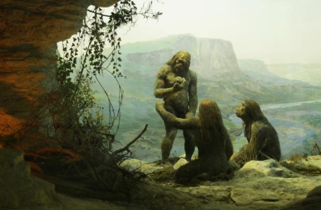 Откриха нови доказателства за селективен канибализъм сред неандерталците в Европа