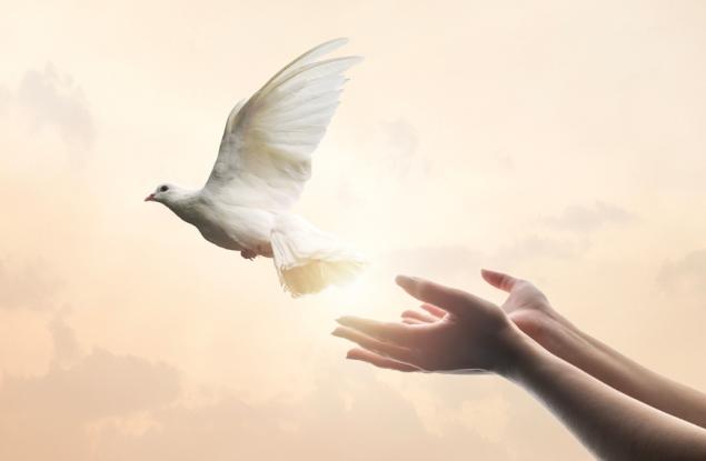 Не можем да следваме принципа "око за око"