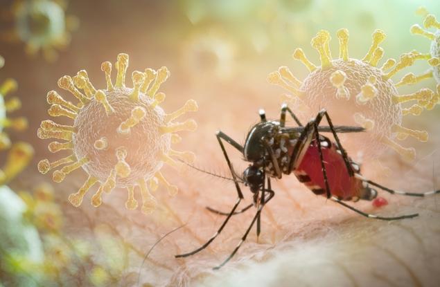 Разработиха интелигентна система за контрол на болести, пренасяни от комари