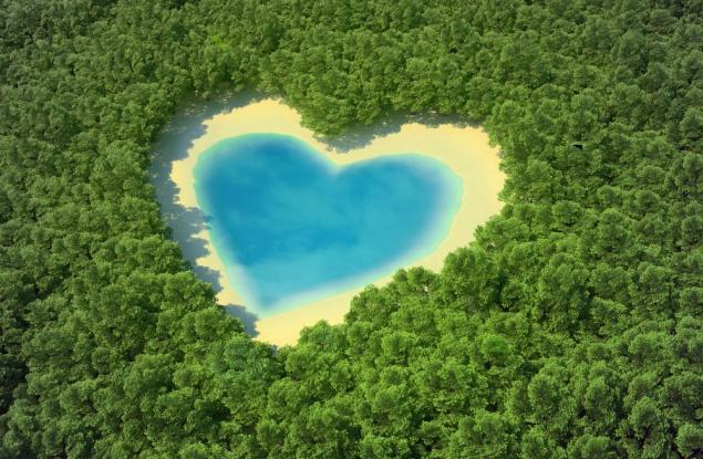 Ето как да пестим, докато опазваме природата около нас