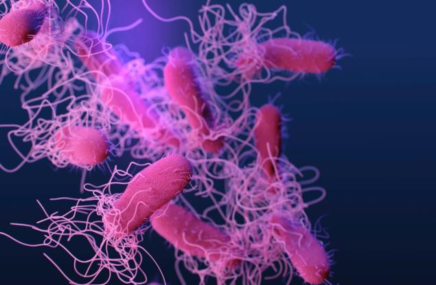 Сладководни микроорганизми от Швеция подобряват разбирането за еволюцията на бактериите