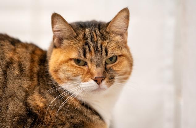 Правите ли това? Със сигурност лазите по нервите на хората