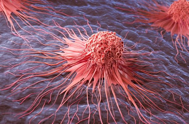 Популярна добавка против стареене може да подпомага растежа на рак