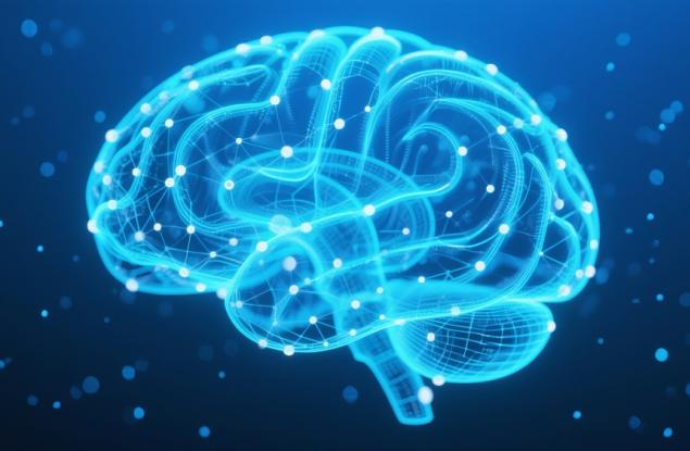 Човешкият мозък е най-сложната структура в познатата ни вселена