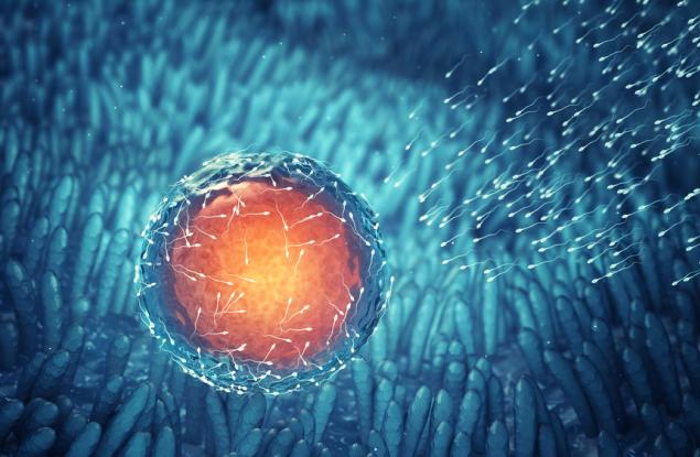 Създадоха синтетични човешки ембриони от стволови клетки 