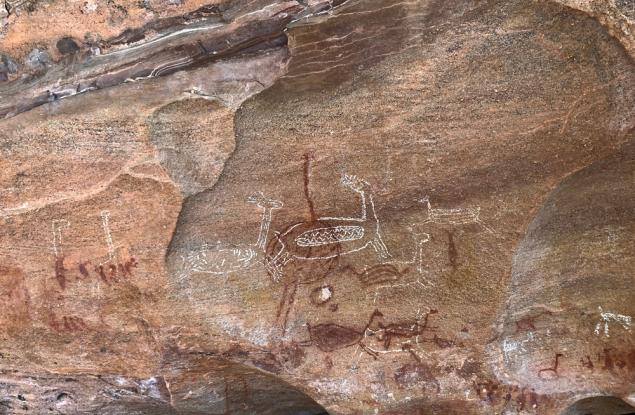 Откриха древни скални рисунки на камили и газели в Саудитска Арабия