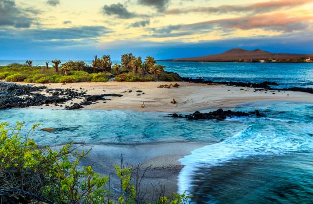 Учени откриват тайната на богатата екосистема на Галапагос