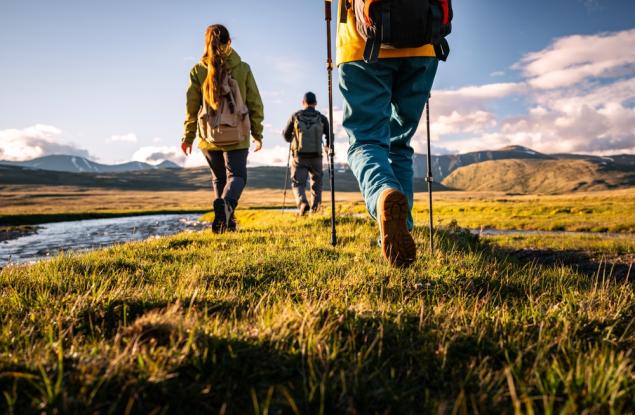 Виц: Депутати са на разходка в планината