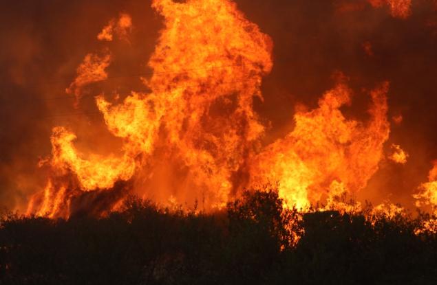 Пожарите в България: Или как да предпазим нашите гори (подкаст)