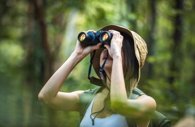 Наблюдението на птици може да подпомогне предпазването на мозъка с напредъка на възрастта