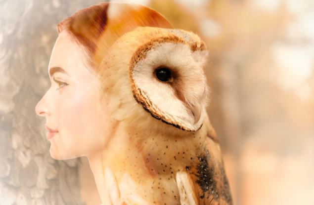 Смисълът на живота е във вътрешния ни баланс 