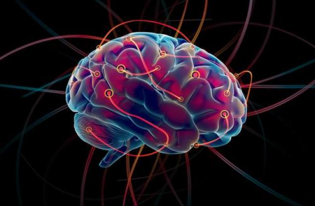 Коя е най-"умната" възраст?