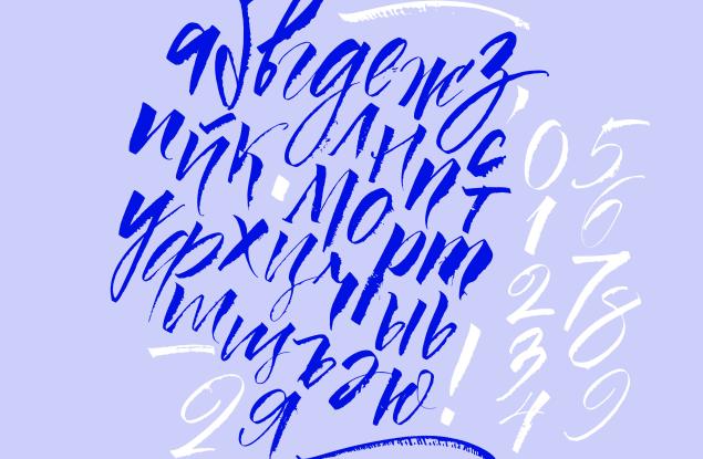 Кои са домашните думи на тези чуждици?