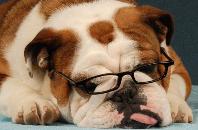 По-умни = по-болни