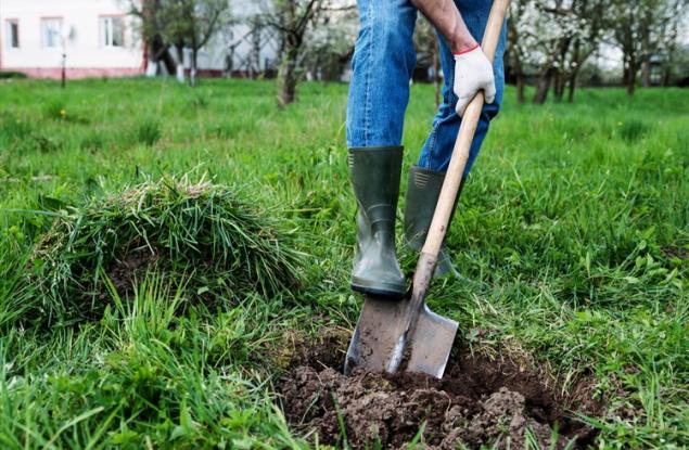 Виц: Двама работници в България
