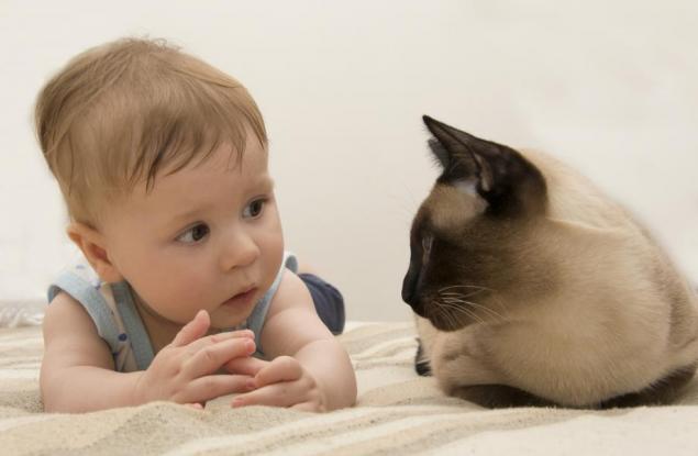 Как говорят животните