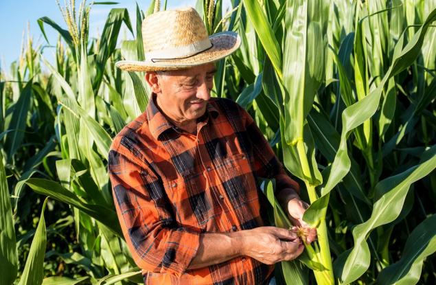 Предимствата на биологичното земеделие