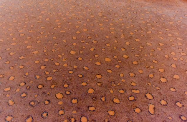 Загадъчните пустинни кръгове са били обяснени от теория на Тюринг още преди 70 години