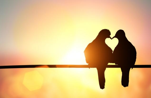 10 романтични жеста, които ще заздравят връзката ви повече отвсякога