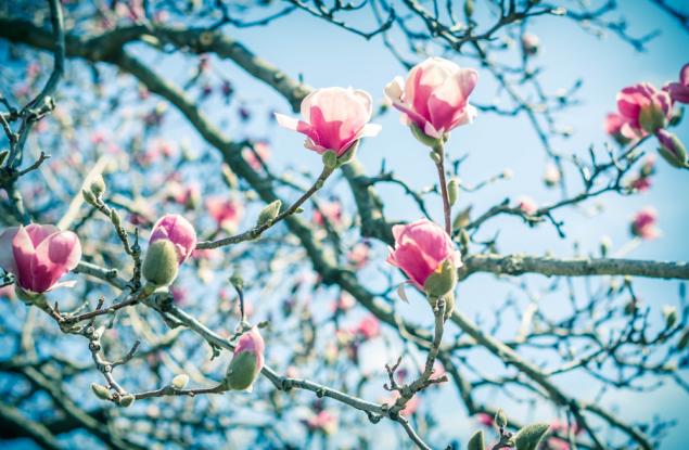 Април 2023 г. донесе големи температурни разлики – на места Великден се оказа по-студен от Коледа