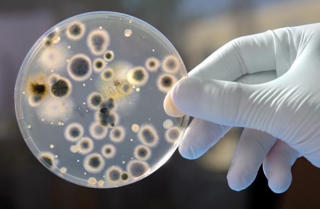 Историята на австралийския учен, който проверил дали пръдните разпространяват болести